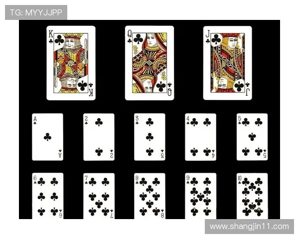 博雅德州下载：畅享经典扑克游戏的无限乐趣